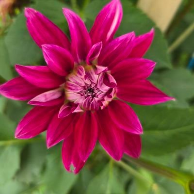 sisinoi55263's profile picture. 政治を監視せよ‼垢😂
RICE🍚🍙