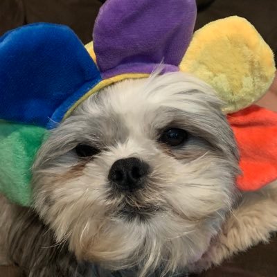 kinzie827's profile picture.