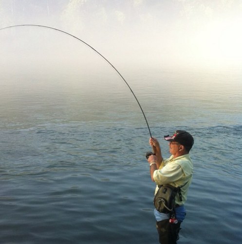 DavesFlyFishing's profile picture. 