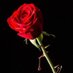 Mawar (@mawar___merah) Twitter profile photo Mawar (@mawar___merah) Twitter profile photo