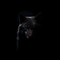 Y17 (@17realthey) 's Twitter Profile