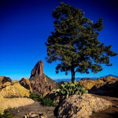 blownspkr's profile picture. 