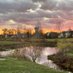 Out my backdoor by Denise (@outmybackdoor7) Twitter profile photo Out my backdoor by Denise (@outmybackdoor7) Twitter profile photo
