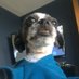 DA BarOch (@bkyd_prospector) Twitter profile photo DA BarOch (@bkyd_prospector) Twitter profile photo