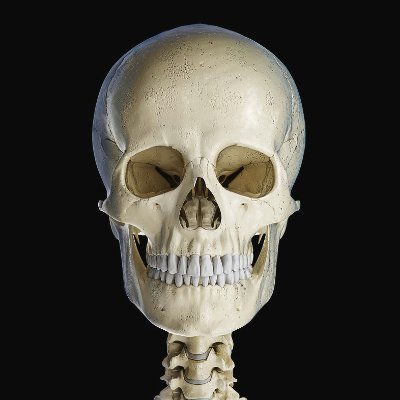 GhastlyMicrowa1's profile picture. 24 transjester