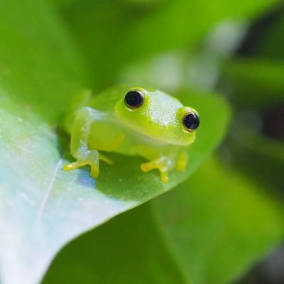 mizuh937's profile picture. SONG SEUNGHO/かなりの大人closer/ シズニ/NICO(DXTEEN) マイペースに推し活楽しんでます💕無言フォロー失礼します🙇‍♀️