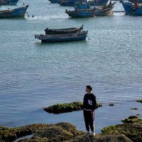 Zane Wynn (@zanewynn_seo) 's Twitter Profile