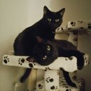 Scott Vess - @WERBORG71 - Twitter