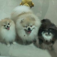 AimJB (@aimjantimaboon) 's Twitter Profile