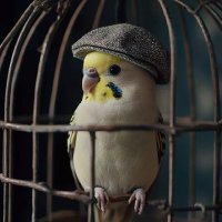 Swissowls 💙🦉💙 (@badendido) 's Twitter Profile Photo Swissowls 💙🦉💙 (@badendido) 's Twitter Profile Photo