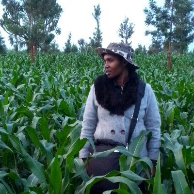 PaulineTuza's profile picture. 