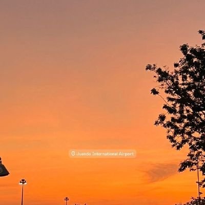 ahmad35563685's profile picture. 