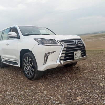 Ali400155745931's profile picture. 