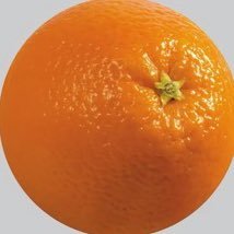 👶さんのプロフィール画像