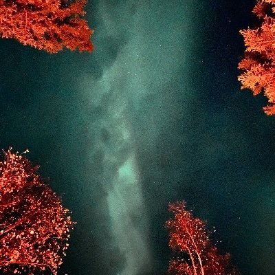 pittman_lt's profile picture. 