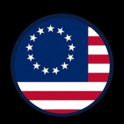 Constitutional Tea Party Conservative (4th try here) Dec of Independence Bill of Rights US Constitution 2A ProLife God Bless America 🙏✝️ Son of Liberty 🇺🇸