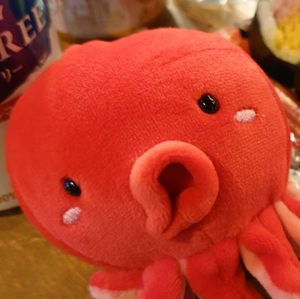 Nobu🐟さんのプロフィール画像