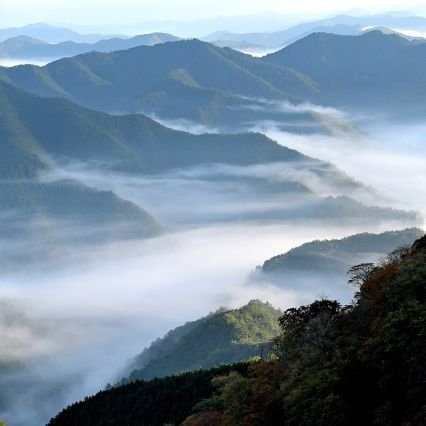 echo0112_46's profile picture. 🌸櫻坂46🌸
🧡増本綺良🌟新二期びいき
このグループ好きかい？#増本綺良 #小島凪紗 #稲熊ひな

　✿サブアカウント @echo46bikosan
✿note 🔗https://t.co/lgVHyvrN75