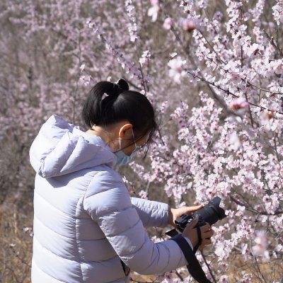 gao1762025's profile picture. 热爱中国，爱好摄影，互关互fo