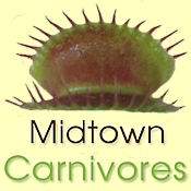 Carnivorous plants, growing supplies and related gifts for New York City.
