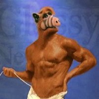 Larzle (@caulkfactory) 's Twitter Profile