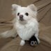 RiccarcoC (@riccarcoc) Twitter profile photo RiccarcoC (@riccarcoc) Twitter profile photo