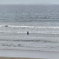 Sinéad Crowley (@sineadcrowley) 's Twitter Profile Photo