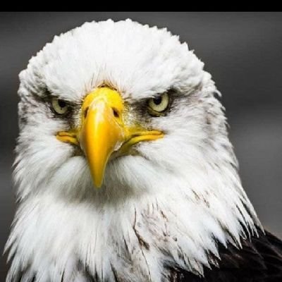 micmaurice123's profile picture. A very God fearing man and a principle type