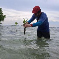 Erwin Ashari Harianja (@harianjaerwin) 's Twitter Profile