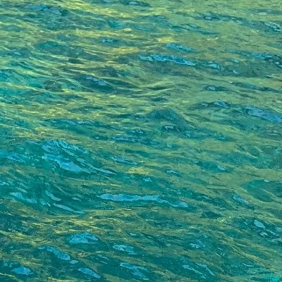 cararmy74449's profile picture. 