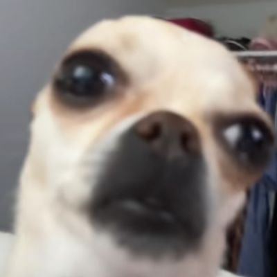 Freaky_Town0's profile picture. just a account to see and like cool art (I'm 24)