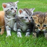 Ui (@ui3772945849237) 's Twitter Profile