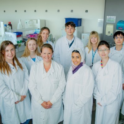 Our research group at Bristol University is focussed on delineating the impact of altered metabolic conditions on cancer risk, progression and treament.