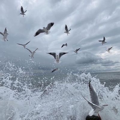 lll_dfg's profile picture. 