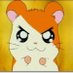 람쥐커플(Squirrel couple)🇰🇷 (@lamgeeeeecp) Twitter profile photo 람쥐커플(Squirrel couple)🇰🇷 (@lamgeeeeecp) Twitter profile photo