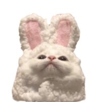 なぎ (@nqgl_chan) 's Twitter Profile