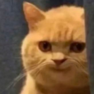 0Figs's profile picture. 