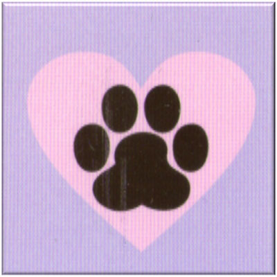 DogSitterMexico's profile picture. Mientras tú trabajas o viajas cuidamos de tu perro Guardería y Hotel Canino en casa del  Veterinario Patios de juegos y   áreas techadas. Bienestar Animal