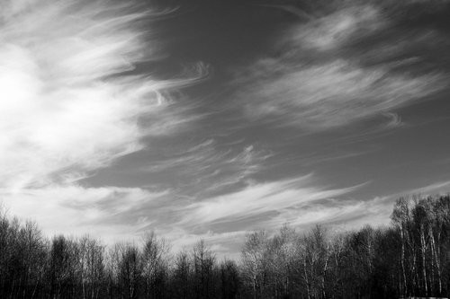 SuperTakumar's profile picture. What a waste