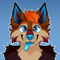 Koji π FWA (@kojicoyote) 's Twitter Profile Photo Koji π FWA (@kojicoyote) 's Twitter Profile Photo