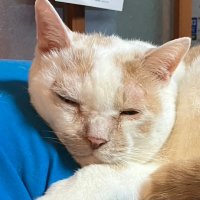 YKM (@ykm401800) Twitter profile photo