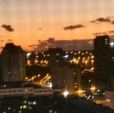 oipdsd's profile picture. 