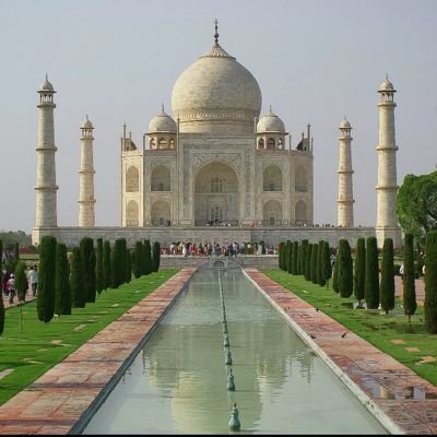 XNLingDu's profile picture. 