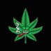 Purple Haze π΄ (@jacksonrexx420) Twitter profile photo Purple Haze π΄ (@jacksonrexx420) Twitter profile photo