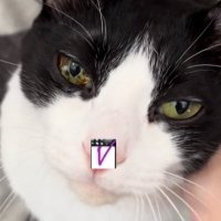 アキテテ (@jkvnp59lfs6shrm) 's Twitter Profile