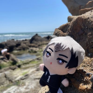爽子さんのプロフィール画像