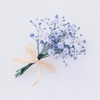 伽野せり (@seriwo_togino) 's Twitter Profile Photo 伽野せり (@seriwo_togino) 's Twitter Profile Photo