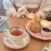 しお (@05_17ps) Twitter profile photo しお (@05_17ps) Twitter profile photo