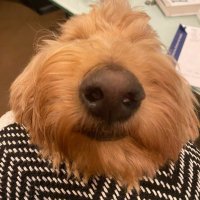 for women ππ©΅πΊπΈπ¦
π³οΈβππ΅ (@mishhhhell) 's Twitter Profile