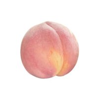 桃 (@ootothetop) 's Twitter Profile